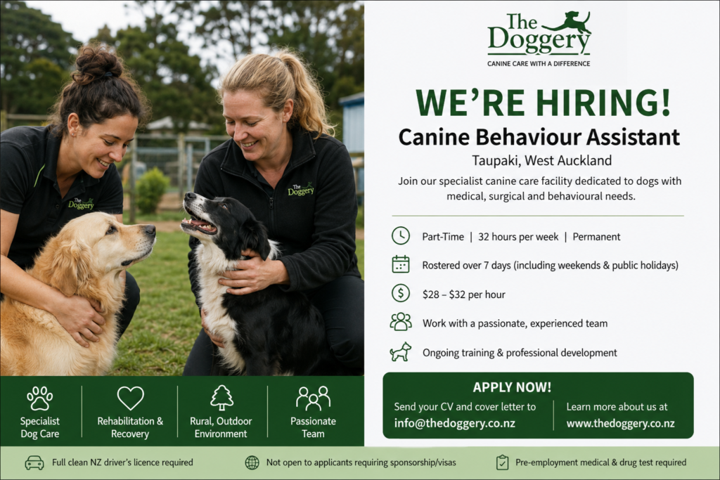 Canine Behaviour Assistant Jobs in New Zealand